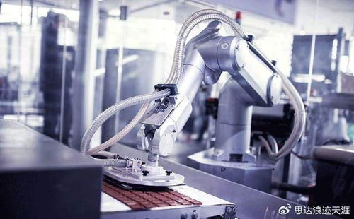 2025中國(guó)機(jī)博會(huì)武漢工博會(huì) 技術(shù)驅(qū)動(dòng)產(chǎn)業(yè)變革，綠色與高端制造共舞